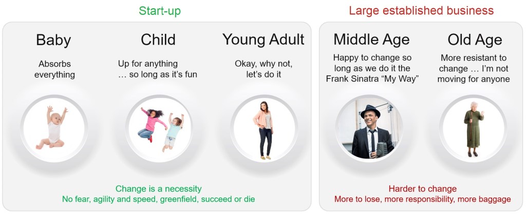 Analogy of age to startups and large companies